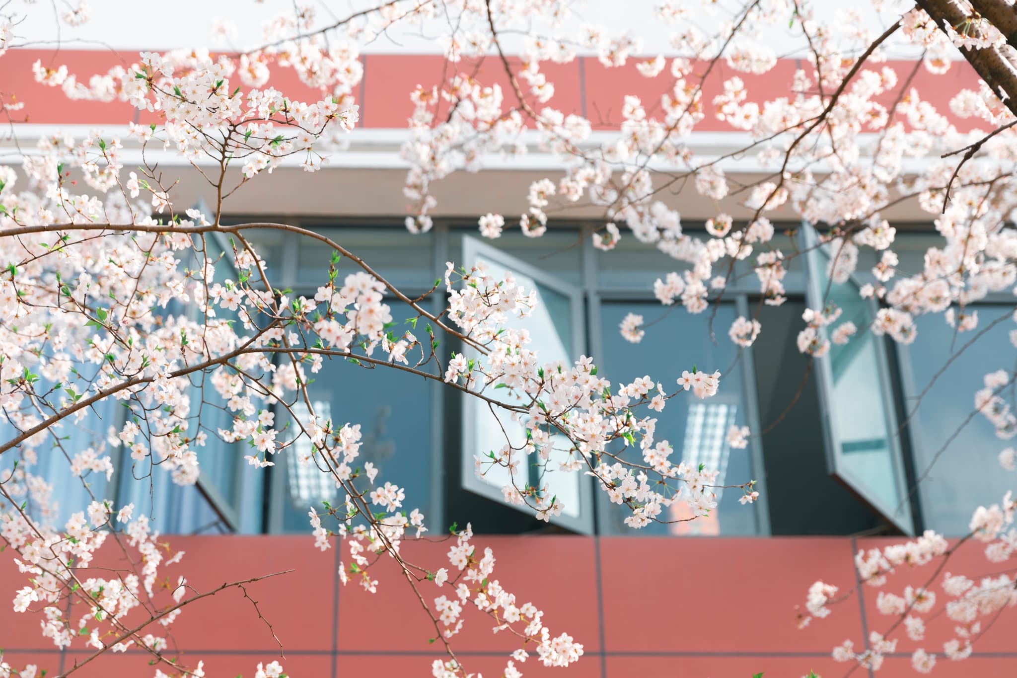 Campus 5