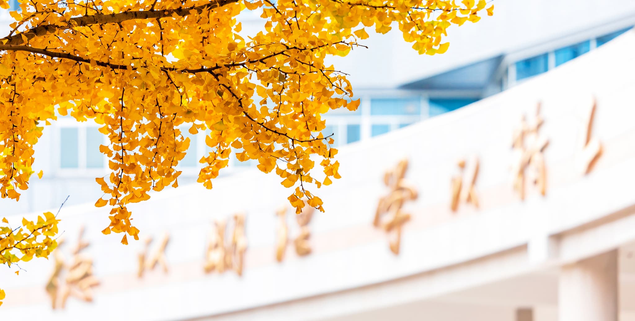 Campus 1 