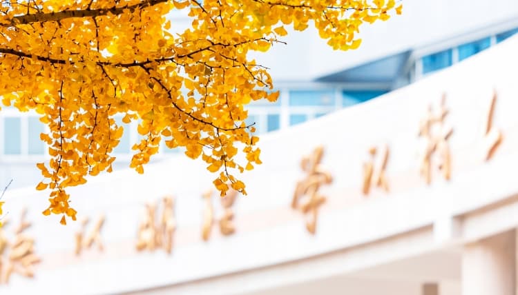 Campus 3 