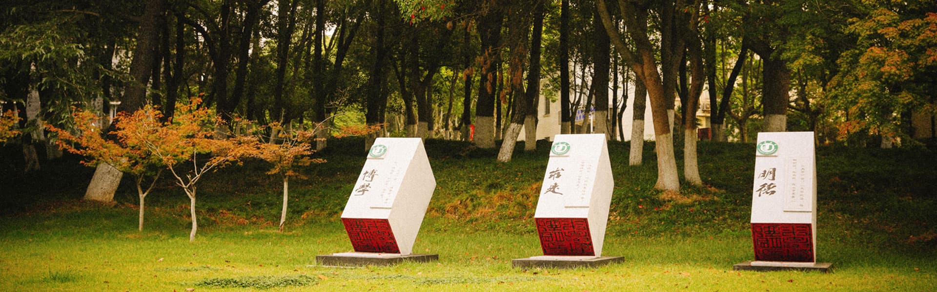 Campus 3