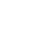 Zhengzhou University logo