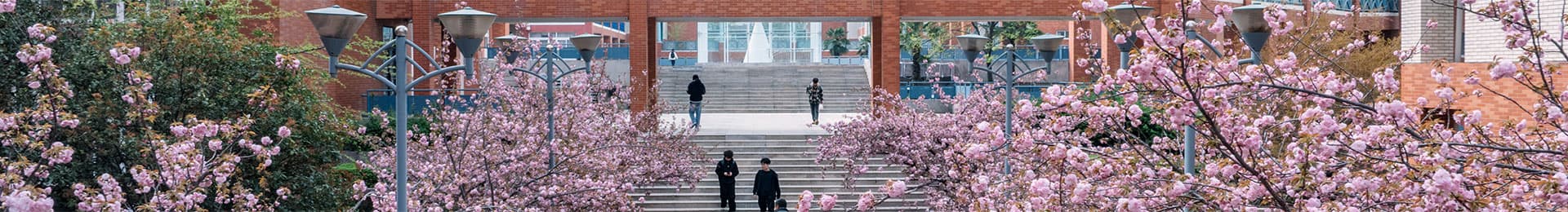 Campus 4