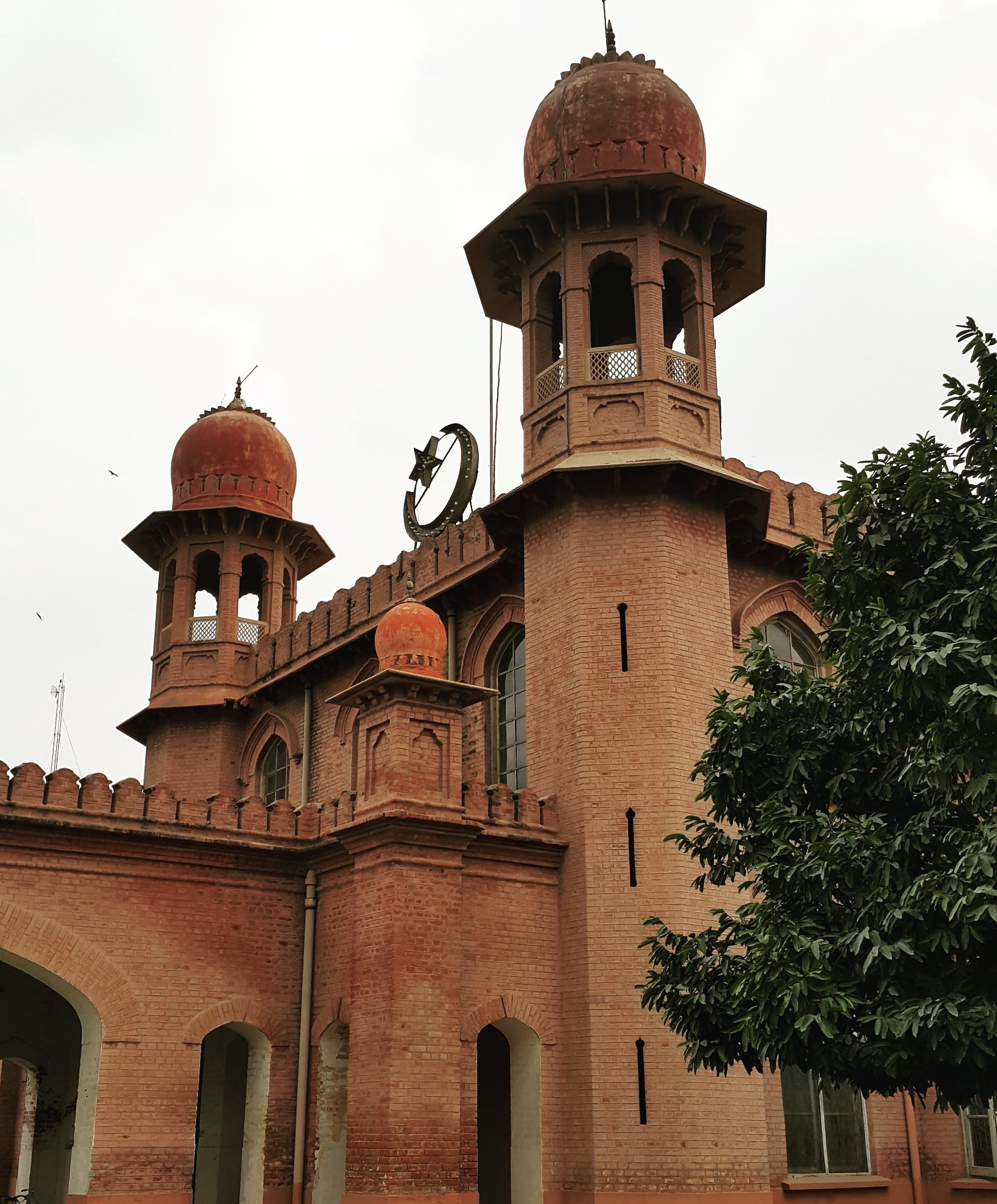 Northeast Agricultural University