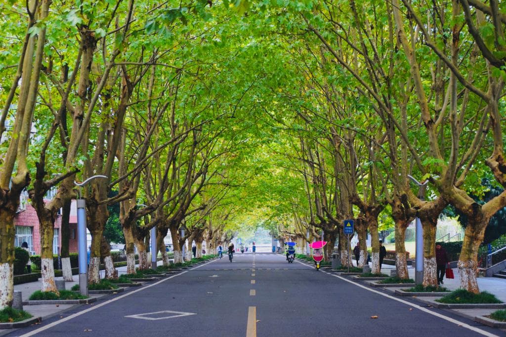 Campus 4